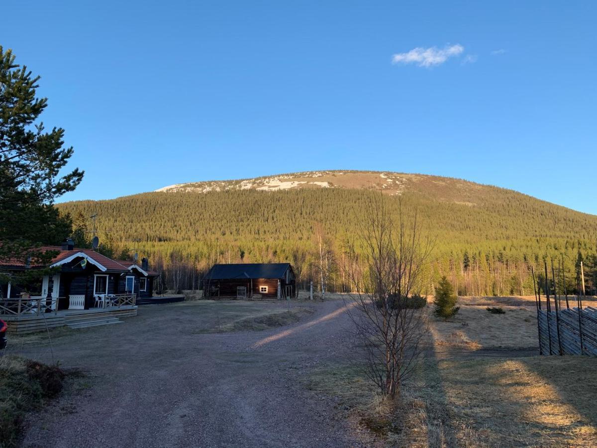 Stöten Nymon Mountain Lodge מראה חיצוני תמונה