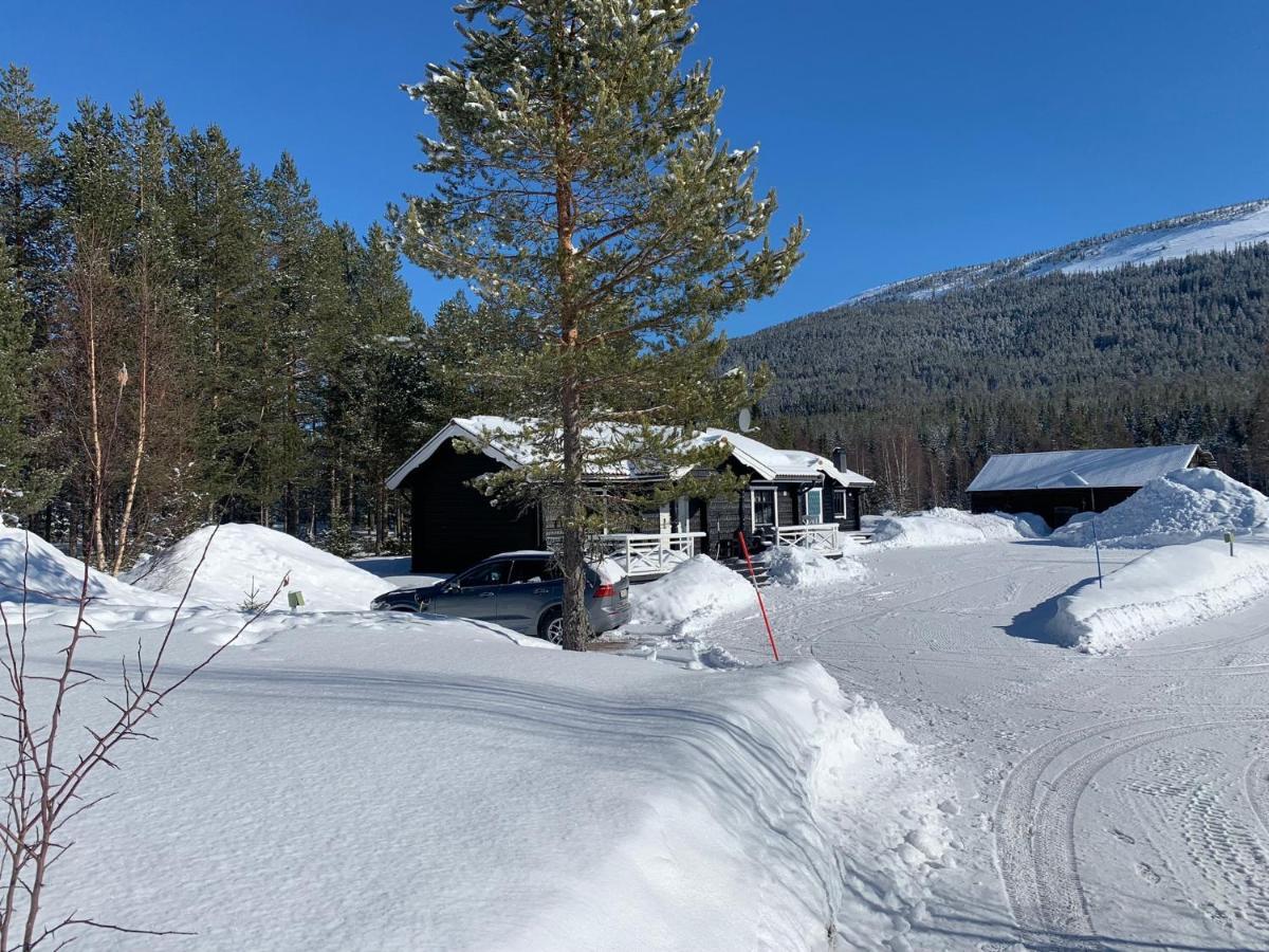 Stöten Nymon Mountain Lodge מראה חיצוני תמונה